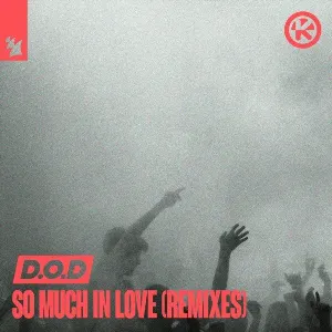 Pochette de So Much in Love de D.O.D