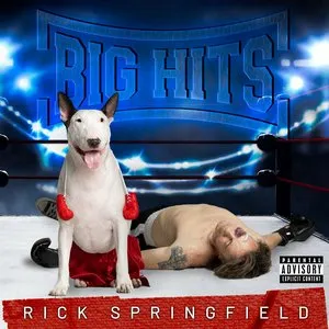 Pochette de Big Hits: Rick Springfield's Greatest Hits, Vol. 2 de Rick Springfield