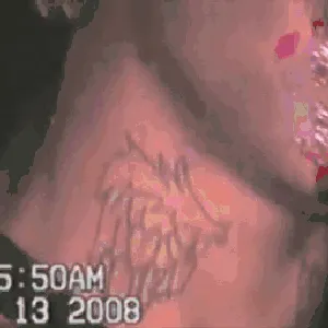 Pochette de Tracy’s World de Lil Tracy