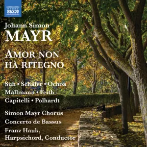 Pochette de Amor non ha Ritegno de Markus Schäfer - Simon Mayr - Franz Hauk