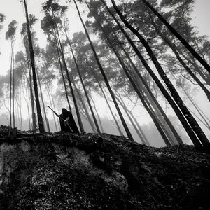 Pochette de Lurking in the Depths de Irae