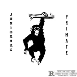 Pochette de Primate de Junior NKG