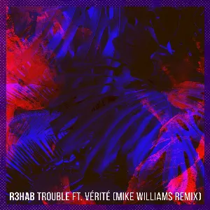 Pochette Trouble (Mike Williams remix)