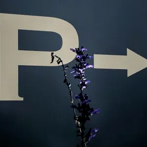 Pochette de それからのこと (Passed Sound Source) de Ueda Takayasu