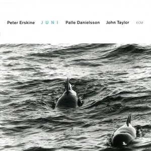 Pochette de Juni de Peter Erskine