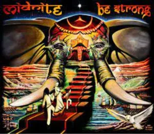 Pochette de Be Strong de Midnite