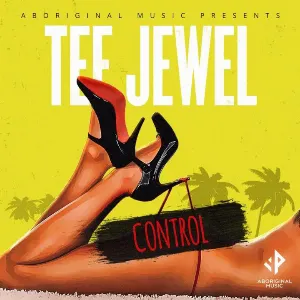 Pochette de Control de Tee Jewel