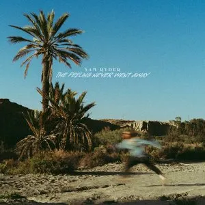 Pochette de The Feeling Never Went Away de Sam Ryder