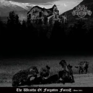 Pochette de Wraiths of the Forgotten Forest de Ekove Efrits