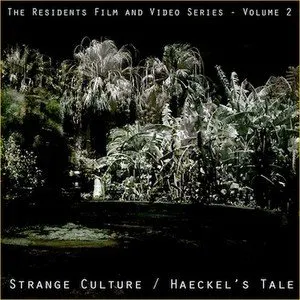 Pochette Strange Culture / Haeckel’s Tale