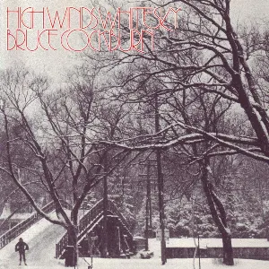 Pochette de High Winds White Sky de Bruce Cockburn