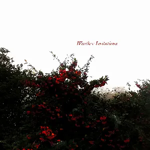 Pochette de Weather Imitations de Damien De Coene