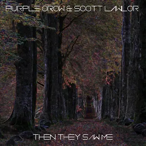 Pochette de Then They Saw Me de Scott Lawlor