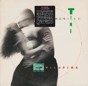 Pochette de Wildfire de Time Bandits