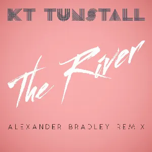 Pochette The River (Alexander Bradley remix)