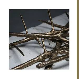 Pochette de De Doorn (Alternate Mix) de Amenra