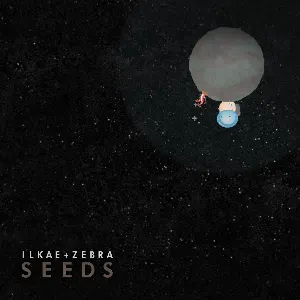 Pochette de Seeds de ilkae