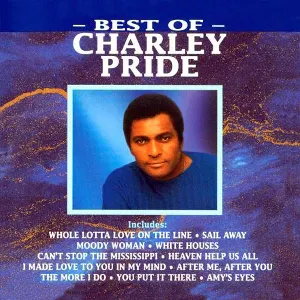 Pochette Platinum Pride Greatest Hits