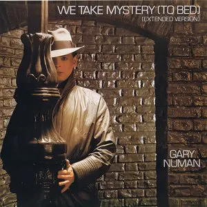 Pochette We Take Mystery (to Bed)