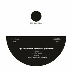 Pochette de Gallivant de Oren Ambarchi