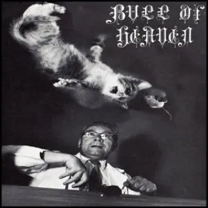 Pochette de 026: A Curious Picture You See With Your Eyes Closed de Bull of Heaven