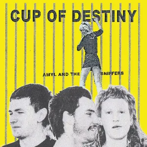 Pochette de Cup of Destiny de Amyl and the Sniffers