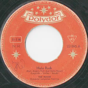 Pochette de Hula Rock de Ted Herold