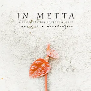Pochette de In Metta (A Collaboration of Peace & Light) de Dewa Budjana