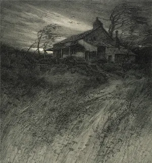 Pochette de Enshrouded by Solitude de Hiemal