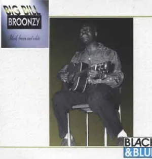Pochette de Black, Brown and White de Big Bill Broonzy