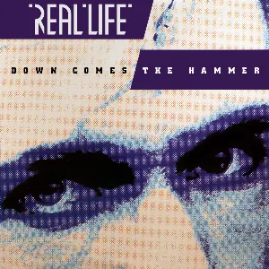 Pochette de Down Comes the Hammer de Real Life