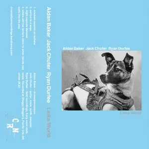 Pochette de Laika World de Aidan Baker