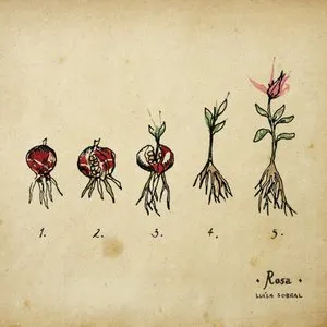 Pochette de Rosa de Luísa Sobral