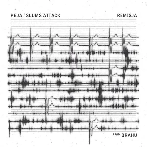 Pochette de Remisja de Slums Attack