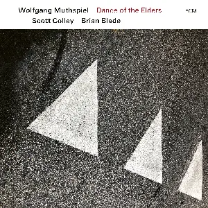 Pochette de Dance of the Elders de Scott Colley - Brian Blade - Wolfgang Muthspiel