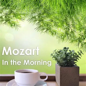 Pochette Mozart in the Morning