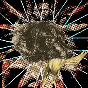 Pochette de シヴァシヴァシヴァ！ de Yukiga Futte Uresii