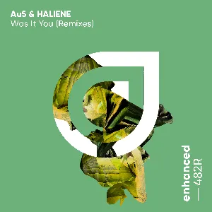 Pochette de Was It You (The Remixes) de HALIENE