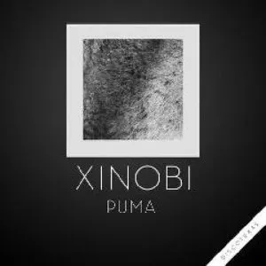 Pochette de Puma de Xinobi
