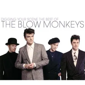 Pochette Digging Your Scene: The Best of The Blow Monkeys