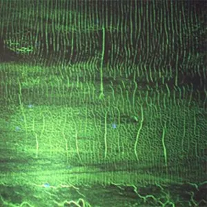 Pochette de K de Donato Dozzy