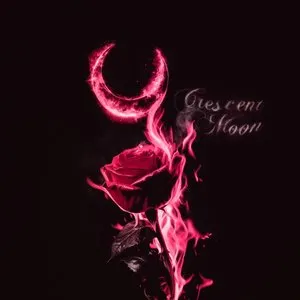 Pochette de CRESCENT MOON de NLE Choppa