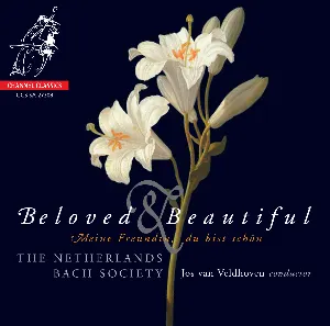 Pochette de Beloved & Beautiful: Meine Freundin, du bist schön de Jos van Veldhoven - De Nederlandse Bachvereniging