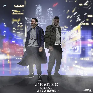 Pochette de Like A Hawk / Kenzo's Darkside VIP de Flowdan