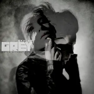 Pochette de Dance Without You de Skylar Grey