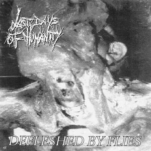 Pochette de Defleshed by Flies de Last Days of Humanity