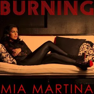 Pochette de Burning de Peter Luts