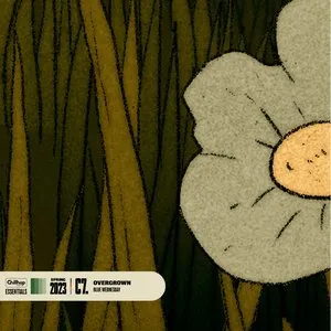 Pochette de Overgrown de Blue Wednesday