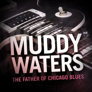 Pochette The Best of Muddy Waters: The Father of Chicago Blues