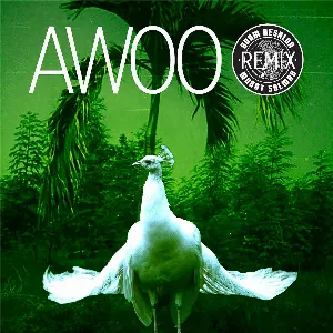 Pochette de Awoo (Adam Aesalon & Murat Salman remix) de Sofi Tukker